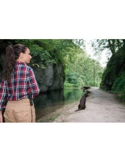 Brennenstuhl Brennenstuhl Lampe De Poche LED LuxPremium Avec Focus 250 Lumen IP44 | IFD Outillage -Chantier Atelier Soldes Boutique lampe de poche led luxpremium avec focus 250 lumen ip44 2